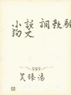 小说 调教骚母狗文