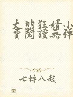 大明狂婿小说免费阅读无弹窗