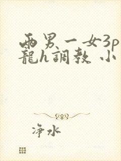 两男一女3p双龙h调教 小说封面
