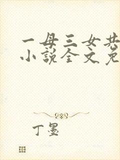 一母三女共一婿小说全文免费阅读