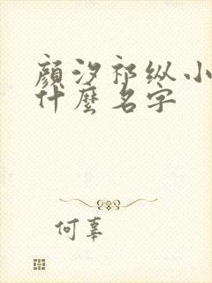 颜汐祁纵小说叫什么名字