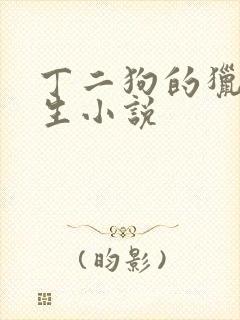 丁二狗的猎艳人生小说