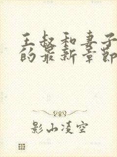 王叔和妻子小静的最新章节更新