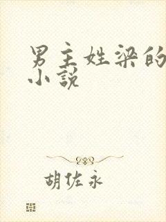 男主姓梁的现代小说