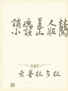 销魂美人林婷婉小说正版阅读