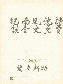 纪南风沈诗澜小说全文免费阅读