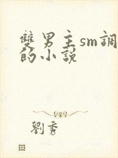 双男主sm调教的小说