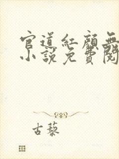 官道红颜无删减小说免费阅读全文