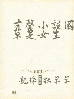 有声小说国民校草是女生