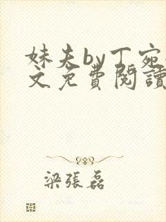 妹夫by丁宛全文免费阅读笔趣阁