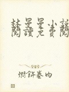 林曼曼小说全文阅读免费阅读全文封面