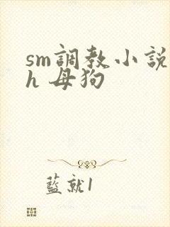 sm调教小说高h 母狗