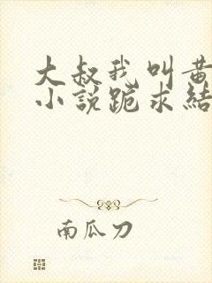 大叔我叫黄小婷小说跪求结局