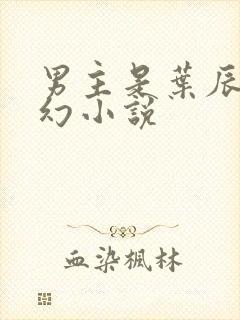 男主是叶辰的玄幻小说封面