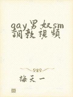 gay男奴sm调教视频