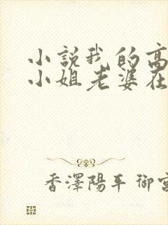 小说我的高冷大小姐老婆在线观看