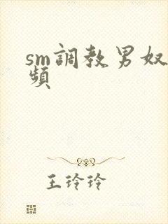 sm调教男奴视频