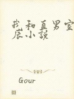 我和直男室友张辰小说