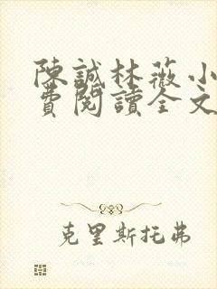 陈诚林薇小说免费阅读全文最新章节