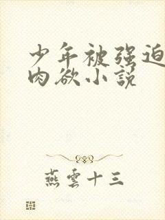 少年被强迫侵犯肉欲小说