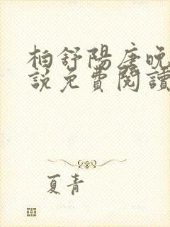 柏舒阳唐晚乔小说免费阅读最新章节封面