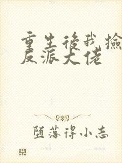 重生后我捡到了反派大佬