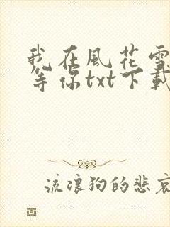 我在风花雪月里等你txt下载全本