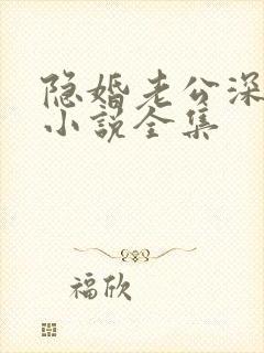 隐婚老公深夜来小说全集