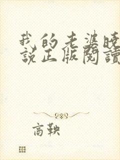 我的老婆晓馨小说正版阅读封面