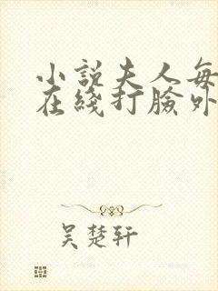 小说夫人每天都在线打脸外传