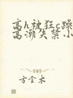 高h被狂c躁到高潮失禁小说