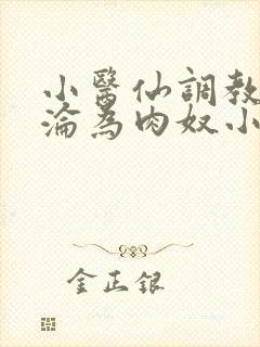 小医仙调教喷水沦为肉奴小说封面