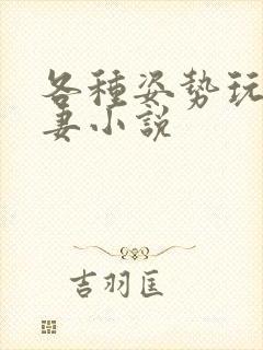 各种姿势玩弄人妻小说