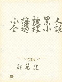 小梅被黑人调教全过程小说