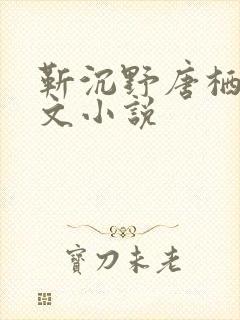 靳沉野唐栖雾全文小说