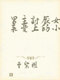 男主讨厌女主后来爱上的小说