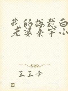 我的总裁白富美老婆秦宇小说未删版