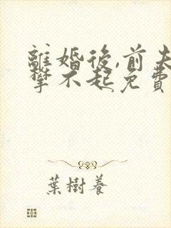 离婚后,前夫高攀不起免费阅读