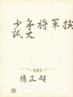 少年将军挨打训诫文封面