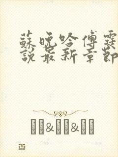 苏晚吟傅霆骁小说最新章节更新时间