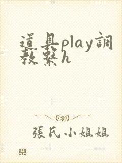 道具play调教系h封面