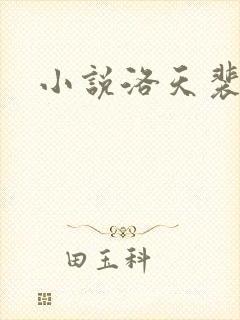 小说洛天裴容封面