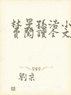 林曼孙浩小说免费阅读全文最新章节