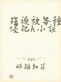 强迫被各种姿势侵犯h小说