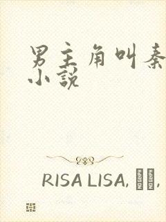 男主角叫秦飞的小说