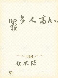 np多人高h小说