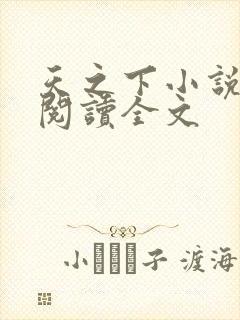 天之下小说在线阅读全文