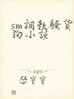 sm调教骚货母狗小说