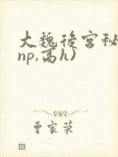 大魏后宫秘史(np,高h)