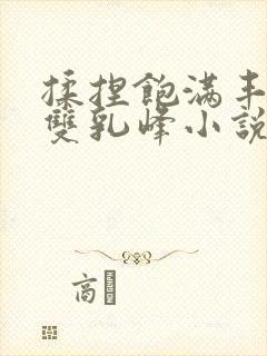 揉捏饱满丰满的双乳峰小说